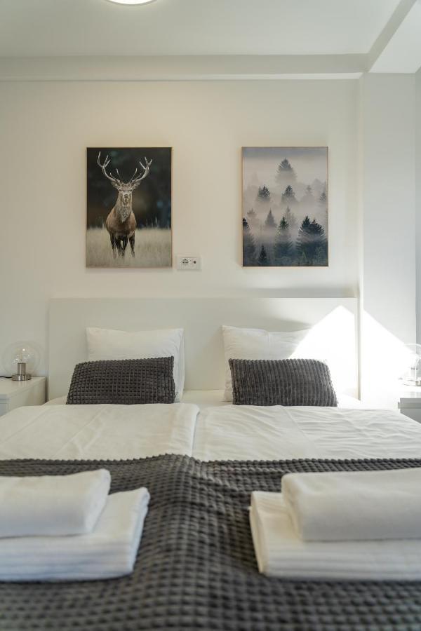 Apartment Grey Mountain Zlatibor