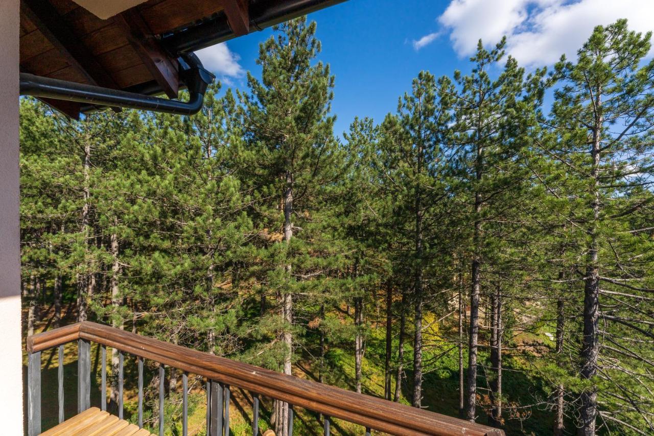 Apartment Grey Mountain Zlatibor