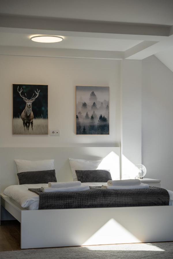 Apartment Grey Mountain
